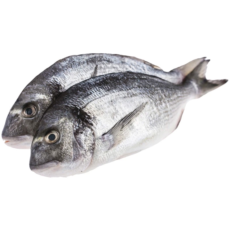 Фотография Дорадо охл сг нр р200-300 кор1-6 Турция - 1