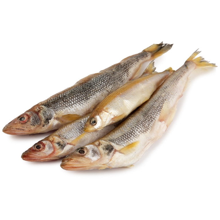 Фотография Корюшка нр см р23+ кор1-20 пласт Аргентина - 1