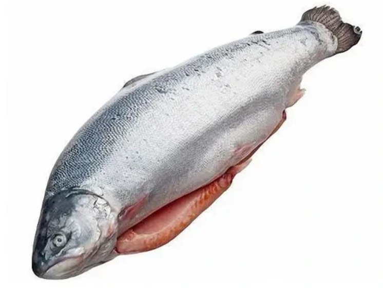 Фотография Форель озеро охл псг см 1,0+ фас Мурманск - 1