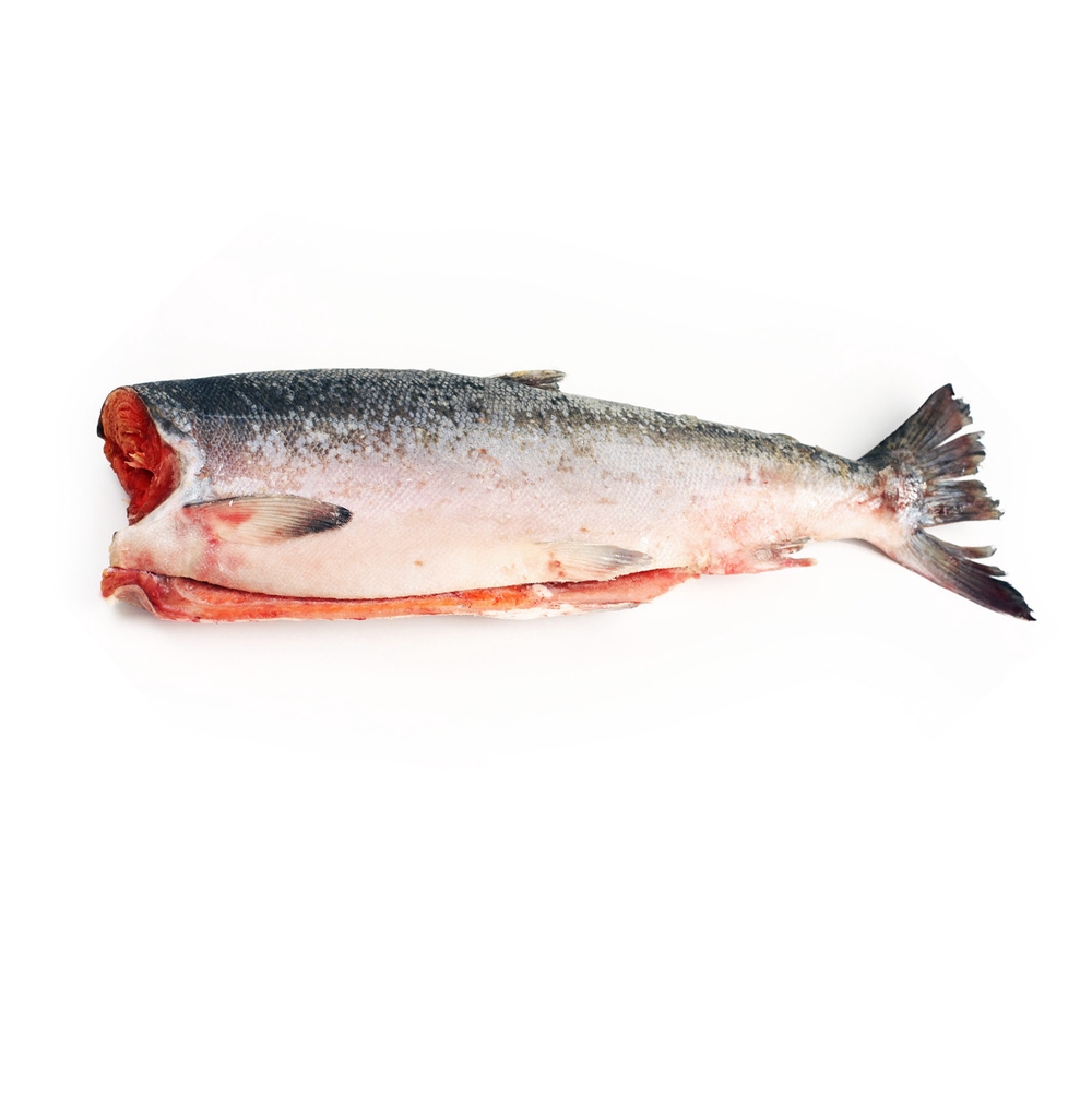 Фотография Кижуч премиум см пбг р10+ унц 2.7-4.1 кг кор1-25 Чили - 1