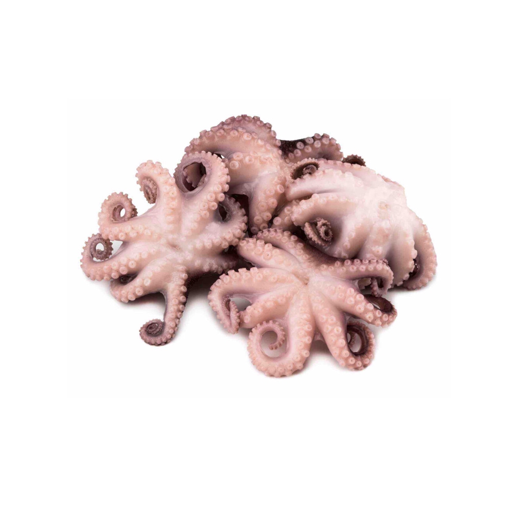 Фотография Осьминоги очищ см р2-3 фас Марокко - 1