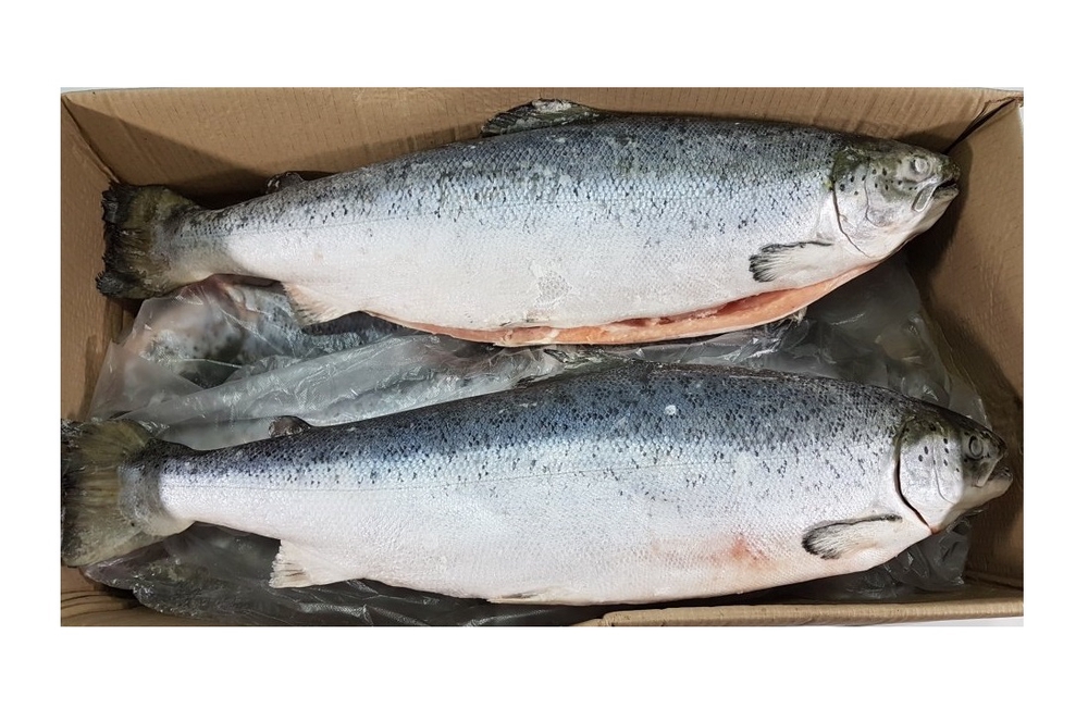 Фотография Лосось атлантический prem hon iqf см псг р6-7 кор1-30 Чили - 1