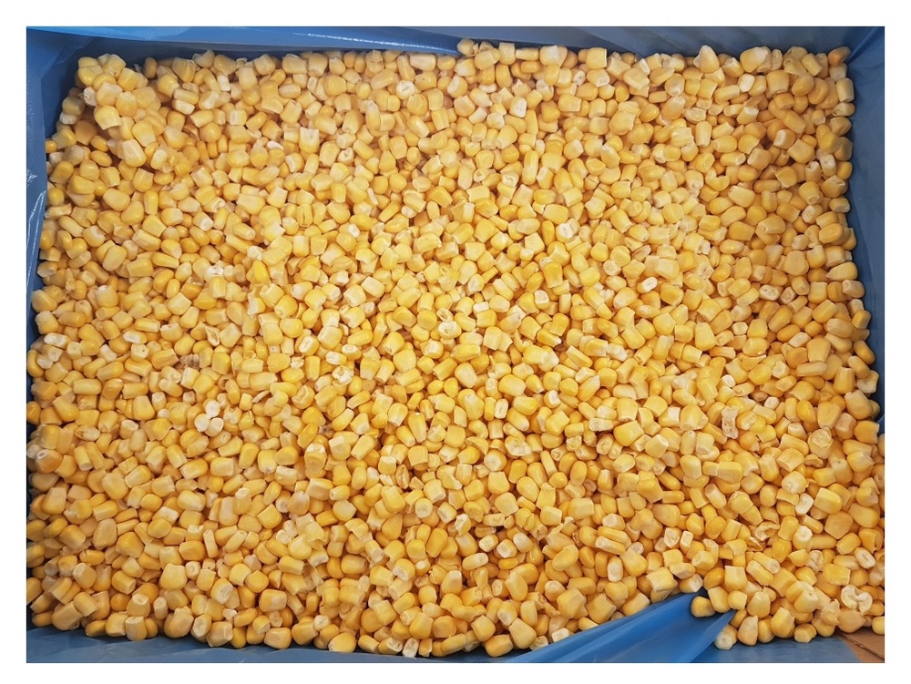 Фотография Кукуруза зерно см кор1-10 Россия - 1