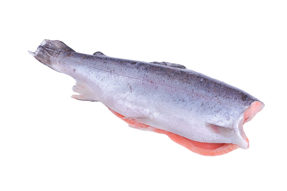 Фотография Форель см бг потр 2.7-3.6 Турция - 1