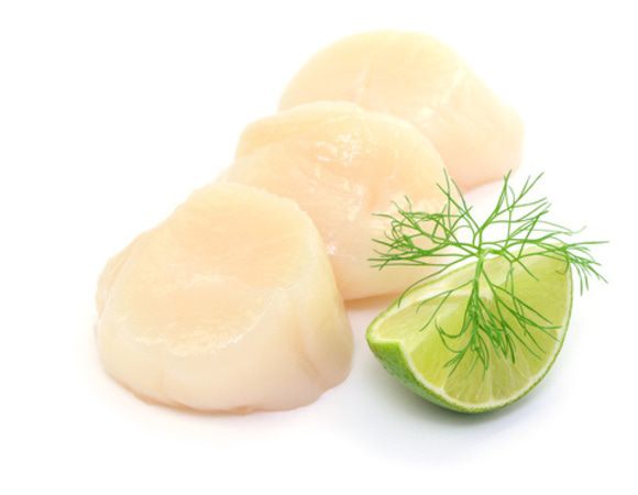 Фотография Гребешок морской без икры см р10-20 1 кг кор1-10 Китай Премиум - 2