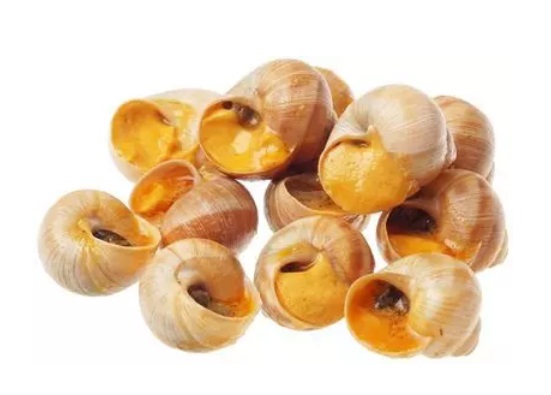 Фотография Улитки по-тайски в соусе том ям вм 170 гр кор1-10 Россия - 1