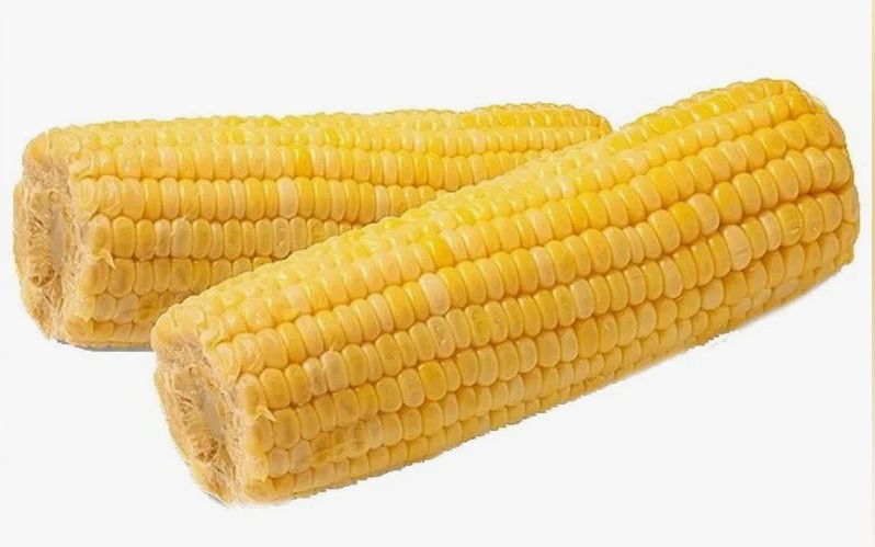 Фотография Кукуруза початки см кор1-13,7 Индия - 1