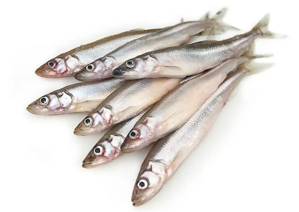 Фотография Корюшка нр см 23+ Аргентина - 1