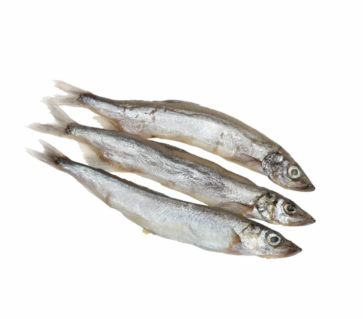 Фотография Мойва нр см р16+ фас ву Сахалин - 1