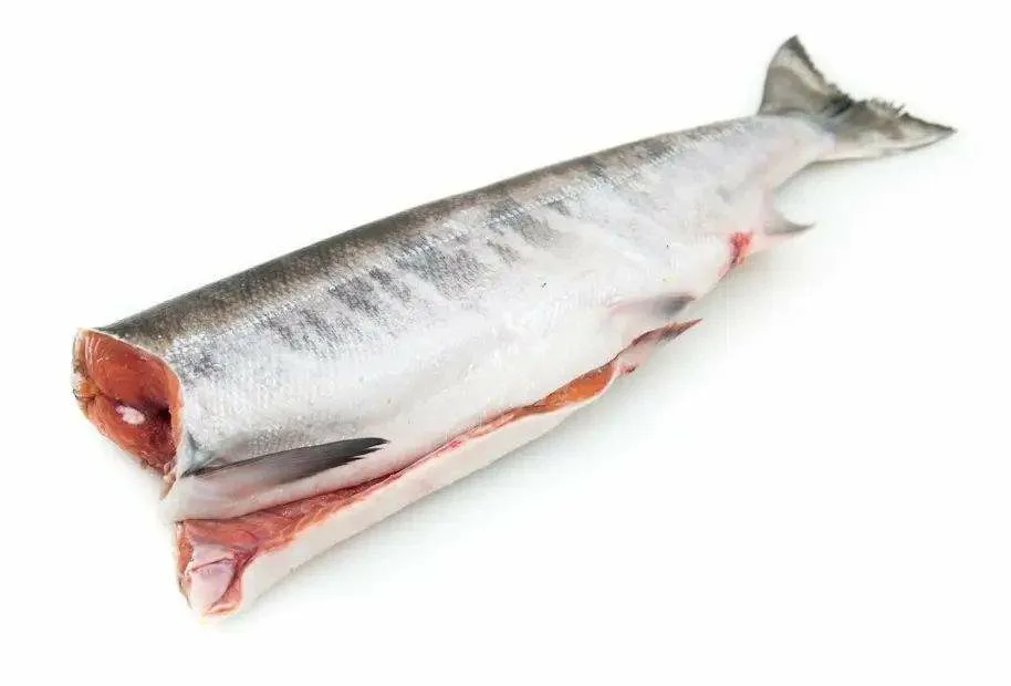 Фотография Кета см бг 2.5+ фас ву Россия - 1