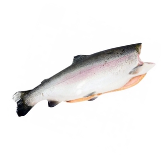 Форель см бг потр 0.9-1.3 фас Турция