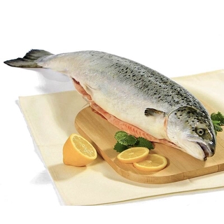 Форель охл псг 3-4кг  фас       Мурманск