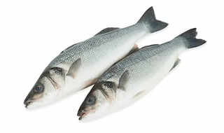 Сибас см псг бч р300-500 вес Турция