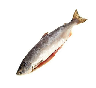 Горбуша бг см фас ву Россия 2025