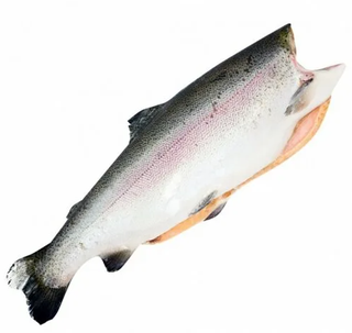 Форель см потр с головой 2+ кг фас Иран